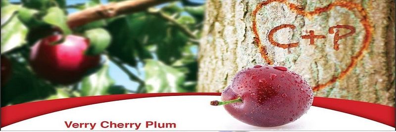The Flavor Tree Fruit Company, LLC - supplier and manufacturer from 미국