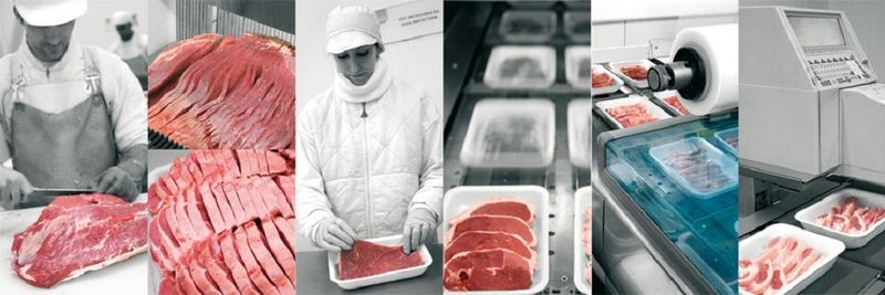 Carns Prior, S.l. - supplier and manufacturer from 스페인
