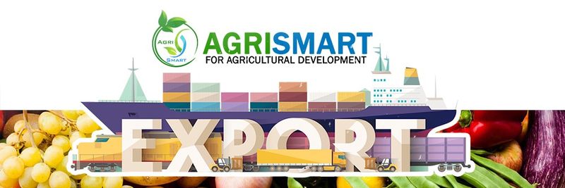 Agrismart For Agricultural Development - Verified supplier and manufacturer from 이집트