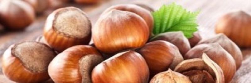 Hatzigeorgiou Almond Products S.A. - supplier and manufacturer from 그리스