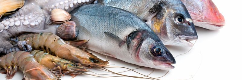 Rex Down Wholesale Fish Merchants Ltd - supplier and manufacturer from 영국