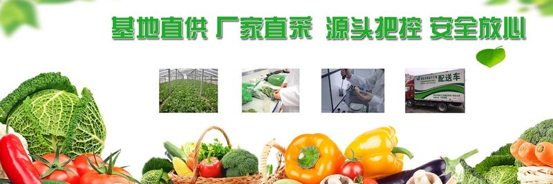 Qingdao Zhongkangyuan Agricultural Products Co., Ltd. - supplier and manufacturer from 중국
