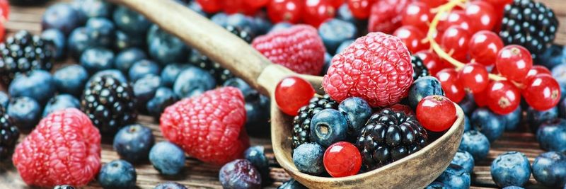 Bremner Foods Ltd - supplier and manufacturer from 캐나다