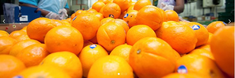 Chop Tong Guan Sdn Bhd - supplier and manufacturer from 말레이시아