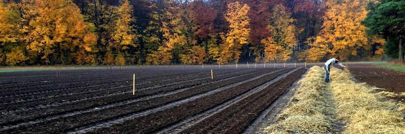 Great Lakes Garlic Farm - supplier and manufacturer from 미국