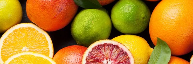 Nature's Choice - supplier and manufacturer from 남아프리카공화국