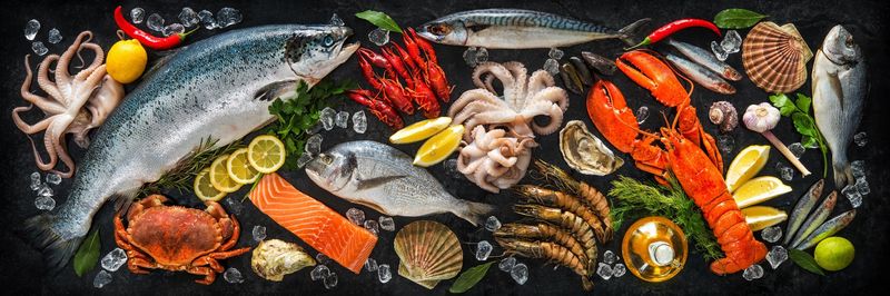 Arapis Live Seafood - supplier and manufacturer from 그리스
