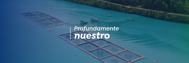 Salmones Austral (TRUSAL S.A.-PACIFIC STAR) - supplier and manufacturer from Chile