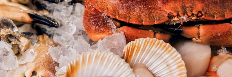 AM Seafoods 2004 Ltd - supplier and manufacturer from United Kingdom