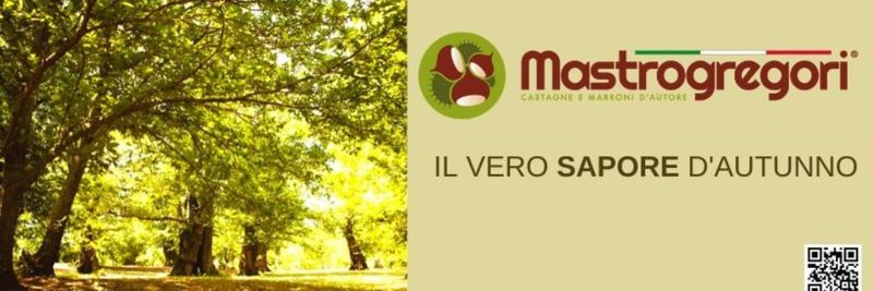 Mastrogregori Aldo & C. S.a.s. - supplier and manufacturer from 이탈리아