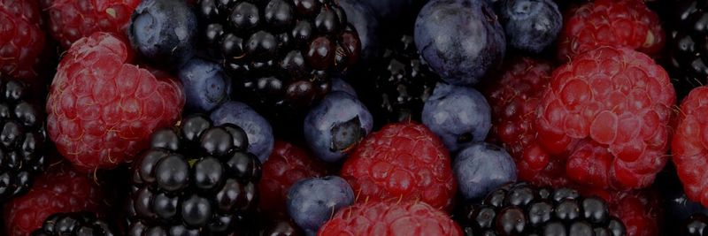 Das Jam Haus - supplier and manufacturer from United States