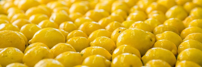 Perricone Farms - supplier and manufacturer from 미국