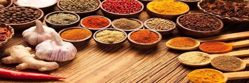 Negin Khorak Pars - supplier and manufacturer from Iran