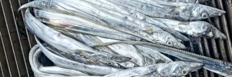 Pacific Seafood, C.A. - supplier and manufacturer from 베네수엘라