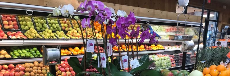 Ruma Fruit & Produce Co Inc - supplier and manufacturer from 미국