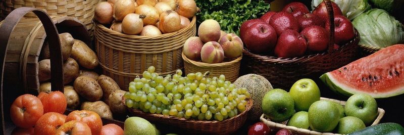 The Farms Pakistan - supplier and manufacturer from 파키스탄