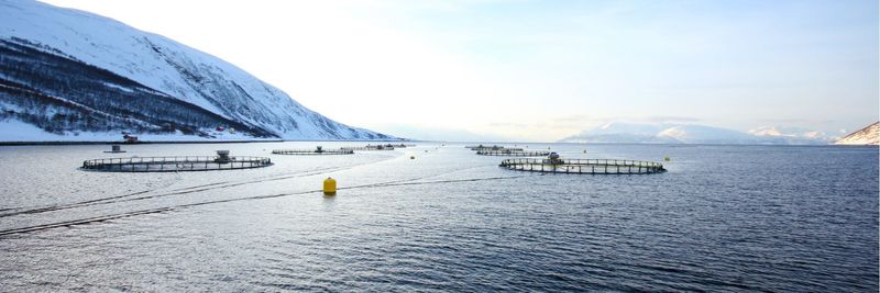 Ocean Quality AS - supplier and manufacturer from 노르웨이