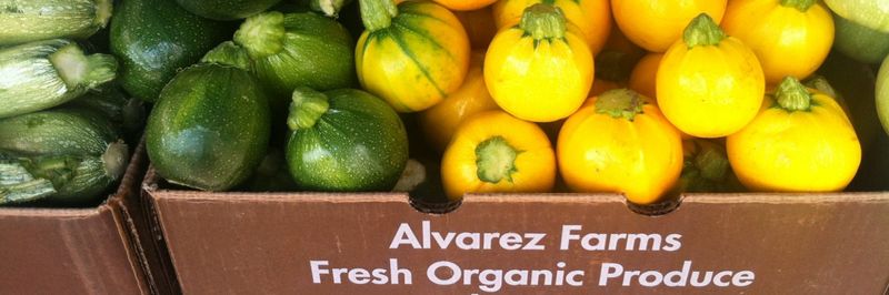 ALVAREZ ORGANIC FARMS - supplier and manufacturer from United States