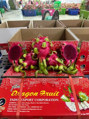 TTB Import Export Co.,Ltd - Verified supplier and manufacturer from 베트남