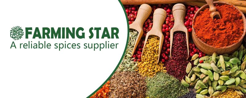 Jinan Farming Star Imp and Exp Co., Ltd - Verified supplier and manufacturer from 중국