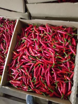 Highland brands limited - Verified supplier and manufacturer from Kenya