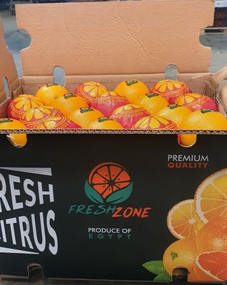 Fresh Zone - Verified supplier and manufacturer from 이집트