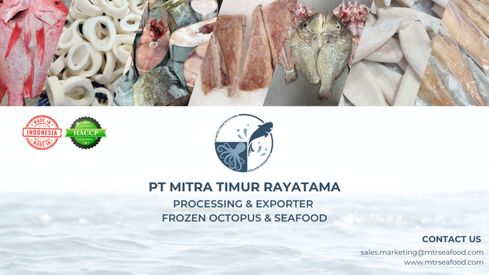 PT Mitra Timur Rayatama - Verified supplier and manufacturer from 인도네시아