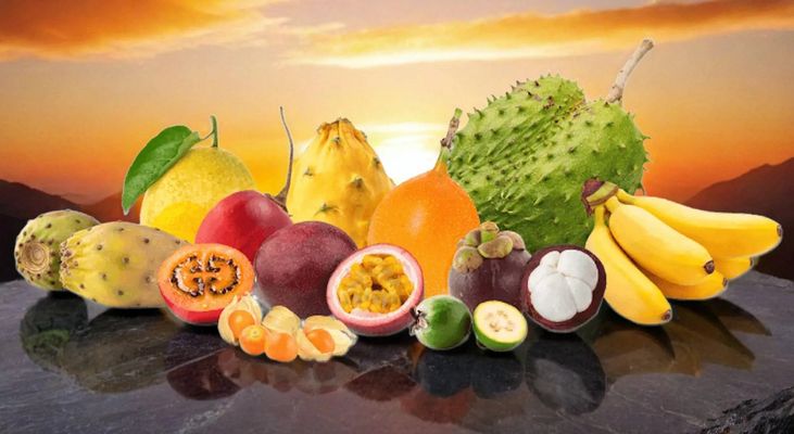 FoodsMas - Verified supplier and manufacturer from Colombia