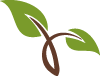OrganicCrops - Verified supplier and manufacturer from 페루