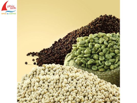 Phuc Sinh Corporation - Verified supplier and manufacturer from Vietnam