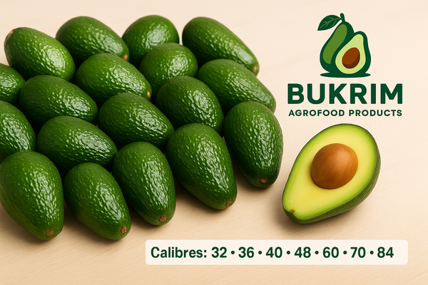 Bukrim SPR de RL - Verified supplier and manufacturer from 멕시코