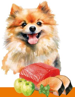 NUGAPE PET FOOD - Verified supplier and manufacturer from 스페인