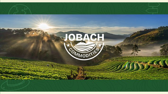 JOBACH COMOD LTD - Verified supplier and manufacturer from 가나