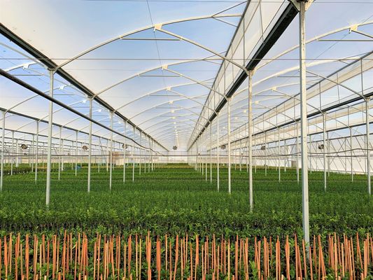Du Roi - Verified supplier and manufacturer from South Africa