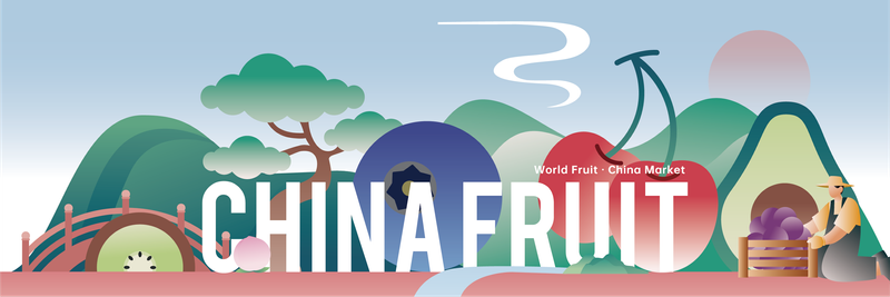 China International Fruit Expo - Verified supplier and manufacturer from China