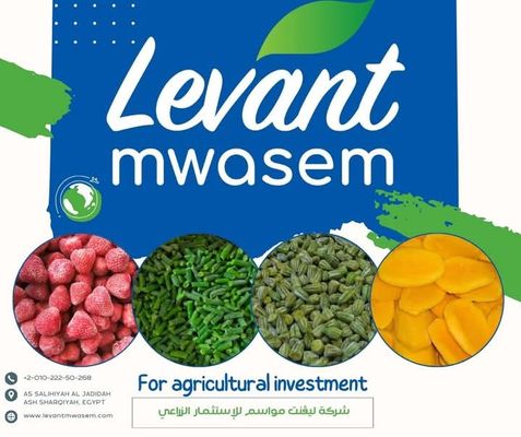 Levant Mwasem - Verified supplier and manufacturer from 이집트