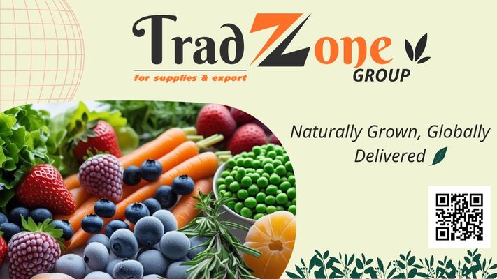 TRADZONE FOR EXPORY & SUPPLIES - Verified supplier and manufacturer from 이집트