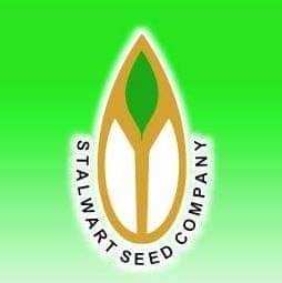 Stalwart Seed Company - Verified supplier and manufacturer from 파키스탄