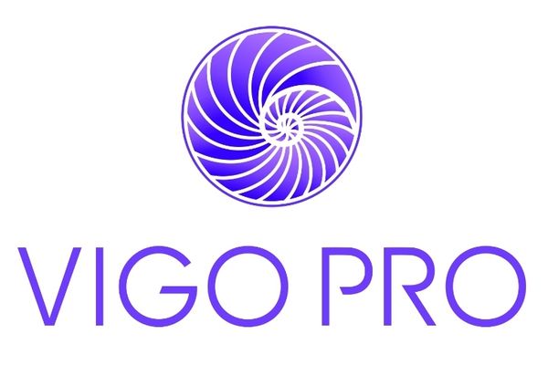 VIGO Pro LLP - Verified supplier and manufacturer from 카자흐스탄