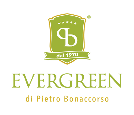 Evergreen - Verified supplier and manufacturer from Italy