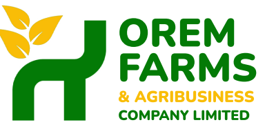 OREM FARMS AND AGRIBUSINESS - Verified supplier and manufacturer from 가나