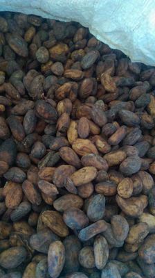 Kalvic Commodities Limited - Verified supplier and manufacturer from Uganda