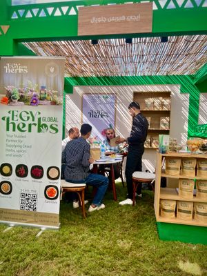 Egy Herbs Global - Verified supplier and manufacturer from Egypt