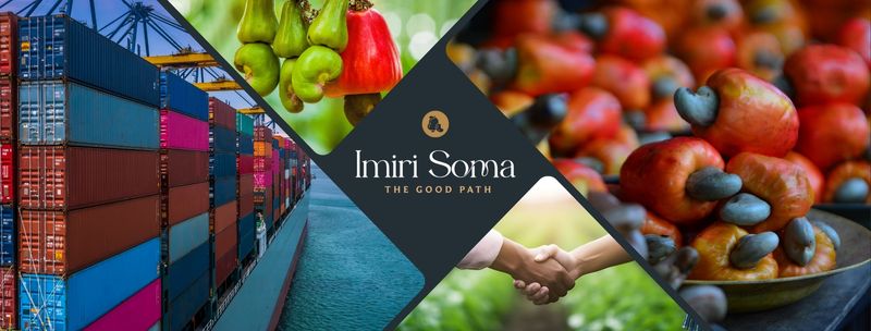 Imiri Soma - Verified supplier and manufacturer from United States