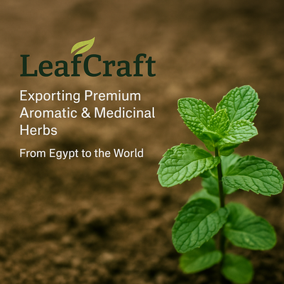 Leaf Craft - Verified supplier and manufacturer from 이집트