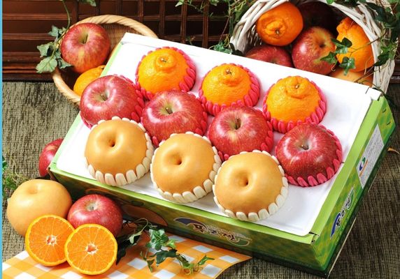 Foodchain - Verified supplier and manufacturer from 대한민국